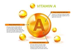 Vitamin A - Những điều cần biết